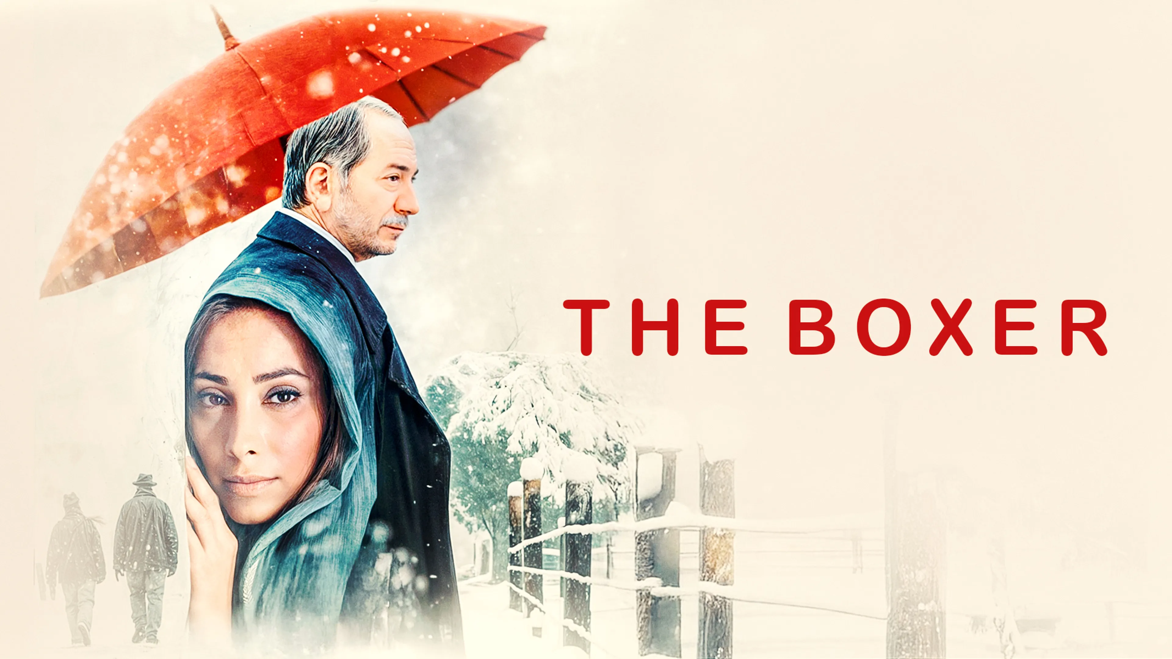 The Boxer poster